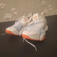 کفش ها نو|کیف، کفش، کمربند|بیرجند, |دیوار