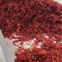 پابریکا اسلایس|خوردنی و آشامیدنی|تهران, آرژانتین|دیوار