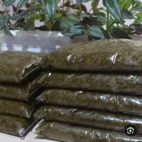باقالا وسبزی خورشتی