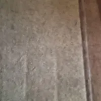 موکت گردویی