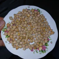 نخود زود پز
