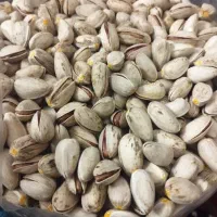 پسته اکبری درجه یک