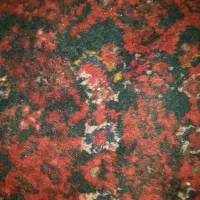 کناره ۴ متری دستباف|فرش|ساوه, |دیوار