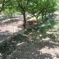 زمین۵۶۱مترجهت ساخت باغات سندارآب وبرق فردوسی