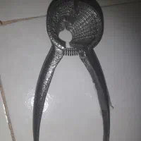 گردو شکن