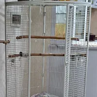 قفس بزرگ طوطی کاسکو کاکادو آرا