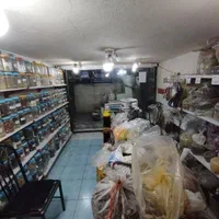 مغازه کمالشهر|فروش مغازه و غرفه|کرج, کمال‌شهر|دیوار