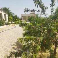 باغچه شاپور جان ،پیربنو|فروش خانه و ویلا|شیراز, جمال آباد|دیوار