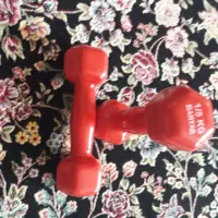 دمبل یک ونیم کیلوگرم|تجهیزات ورزشی|قروه, |دیوار