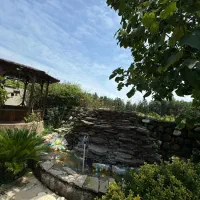 اجاره عمارت باغ حیاط استخر دار ویو جنگلی 006|اجارهٔ کوتاهمدت ویلا و باغ|رشت, جماران|دیوار