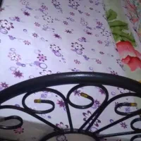 ۲ عدد تخت فلزی با خوشخواب زمستانه،تابستانه|تشک تختخواب|شیراز, احمدی جنوبی|دیوار