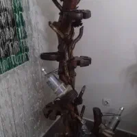 درخت تزئینی