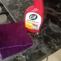 خدمات  پاکیزگی