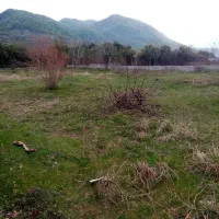 کبوتر آبکش 1000 متر زمین همراه پروانه ساخت