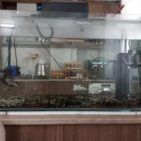 حراج وسایل منزل|حراج|قزوین, |دیوار