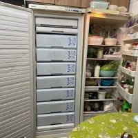 یخچال و فریزر دوقلو یخساران فقط ۱۵میلیون (فوری)|یخچال و فریزر|تهران, گرگان|دیوار
