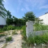 فروش-فوری-زمین250m-داخلش-شهرک-قابل-ساخت