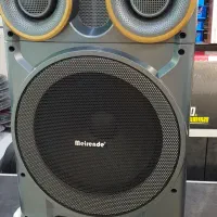 اکو همراه دو میکروفون بیسیم چوبی در حد نو