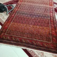فرش قدیمی|فرش|مشهد, نوده|دیوار
