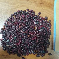 لو بیا عمده 100|خوردنی و آشامیدنی|کوهدشت, |دیوار