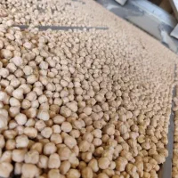 خریدوفروش محصولات کشاورزی و علافی