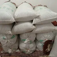 کنجد امسال|عمدهفروشی|بهبهان, |دیوار