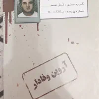 پرونده جنایی آروین وفادار