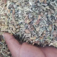 زیر بوجاری