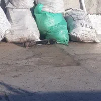 کود کفتر