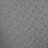 ن نقاشی ساختمان|خدمات پیشه و مهارت|رودسر, |دیوار