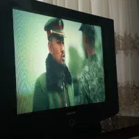 تلویزیون|تلویزیون و پروژکتور|مشهد, شهید معقول|دیوار