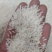 فروش برنج ایرانی هاشمی گیلان