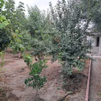 گرگان ملک مسکونی درابتدای روستای نوده ملک بهار پنج|فروش زمین و ملک کلنگی|سرخنکلاته, |دیوار