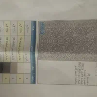 نقشه قالی طرح شاه عباسی به همراه دار چله کشی شده