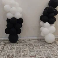 تم تولد