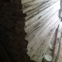 چوب  الوار لاپه سپیدار چهار تراش|مصالح و تجهیزات ساختمان|شیروان (خراسان), |دیوار