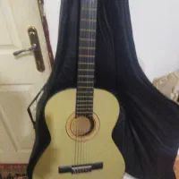 گیتار دایمند با کیفیت بدون خط و کیف و کتاب آموزشی