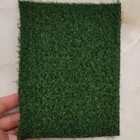 چمن/دیوار سبز/باغبانی/فضای سبز/گل مصنوعی|خدمات باغبانی و درختکاری|شیراز, کاراندیش|دیوار