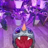 جای خواب گربه و سگ پاپیه ماشه فانتزی(ورق بزن)