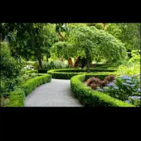 مشاوره طراحی و اجرای فضای سبز