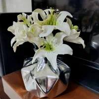 گل با گلدان|گل مصنوعی|برازجان, |دیوار