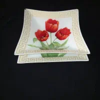 ظرف نو و در حد نو|ظروف سرو و پذیرایی|یزد, |دیوار