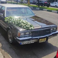 اجاره ماشین عروس و گل ارایی|خدمات پذیرایی، مراسم|رشت, معلم|دیوار