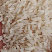 برنج عنبربو / عنبر بو کامفیروزی با عطر و طعم عالی|خوردنی و آشامیدنی|شیراز, داریون|دیوار