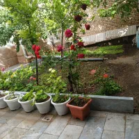 سوئیت اجاره ای