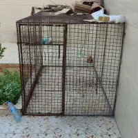 قفس کبوتر درجه یک