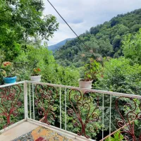 ویلا اجاره ای