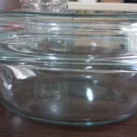 مرغ خوری پیرکس