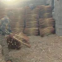 جارو شهری|لوازم نظافت|لاهیجان, قیام|دیوار