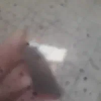 انواع شارژر واداپتور  گوشی نوکیا دوسیم رمخور